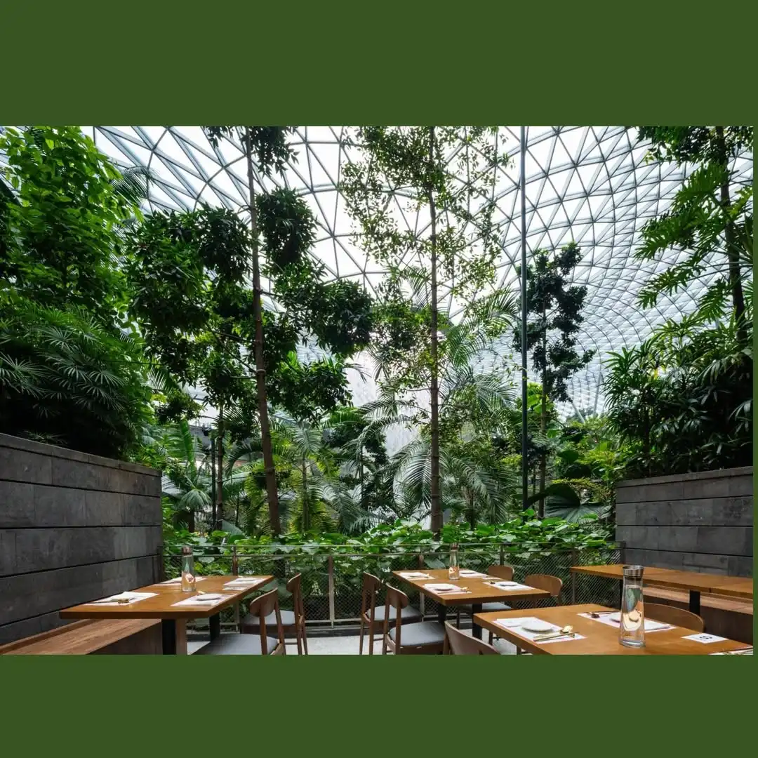 “Gwangjang GAON” The story of Korean cuisine originating from Singapore and reaching out to the world