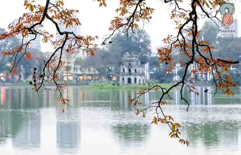 In modern life, the definition of elegance has many differences Philosophy of