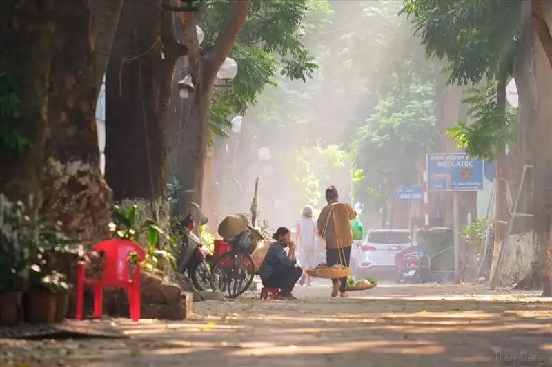 Những nhịp điệu vô thanh của ánh sáng là thứ giúp một thành phố thức giấc Những nhịp điệu vô thanh của ánh sáng là thứ giúp một thành phố thức giấc